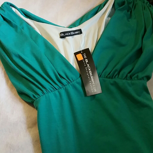 Blackberry dress - Picture 4 of 4